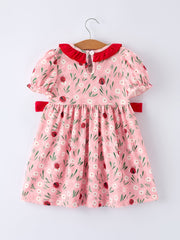Spring Ladybug Smocked Embroidered Girls Dress