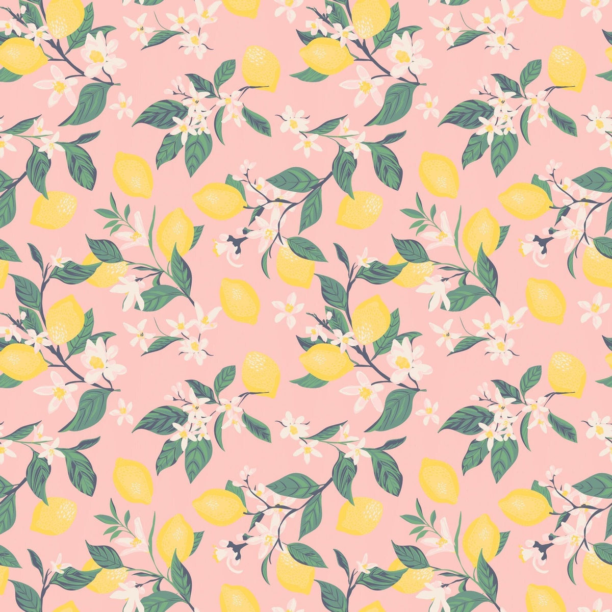Pink Lemon Floral Print Cap Sleeve Swirly Girl Dress